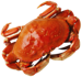 Морепродукты